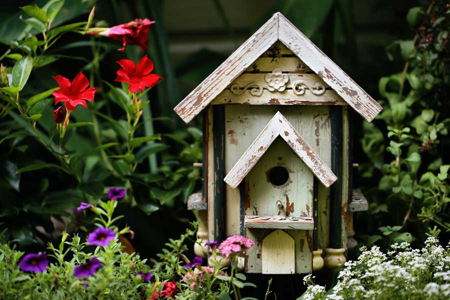 birdhouse-fair-condition-featured-among-bushes-plants-flowers