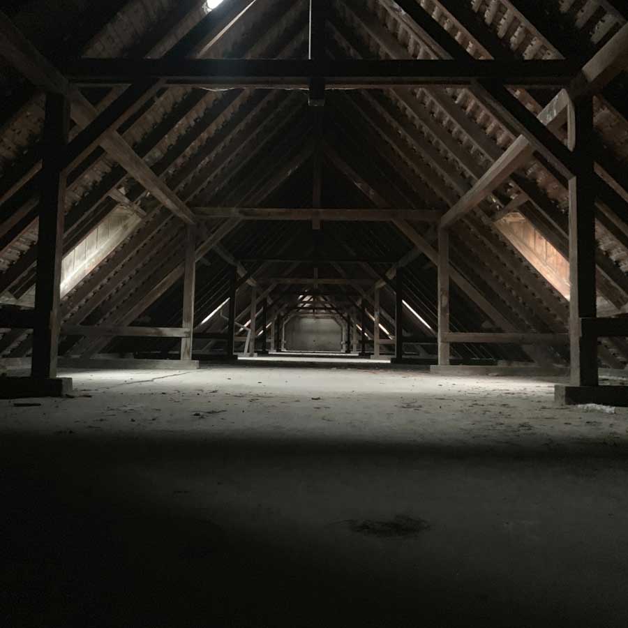 unfinished-attic-dim-natural-light-daytime-no-insulation