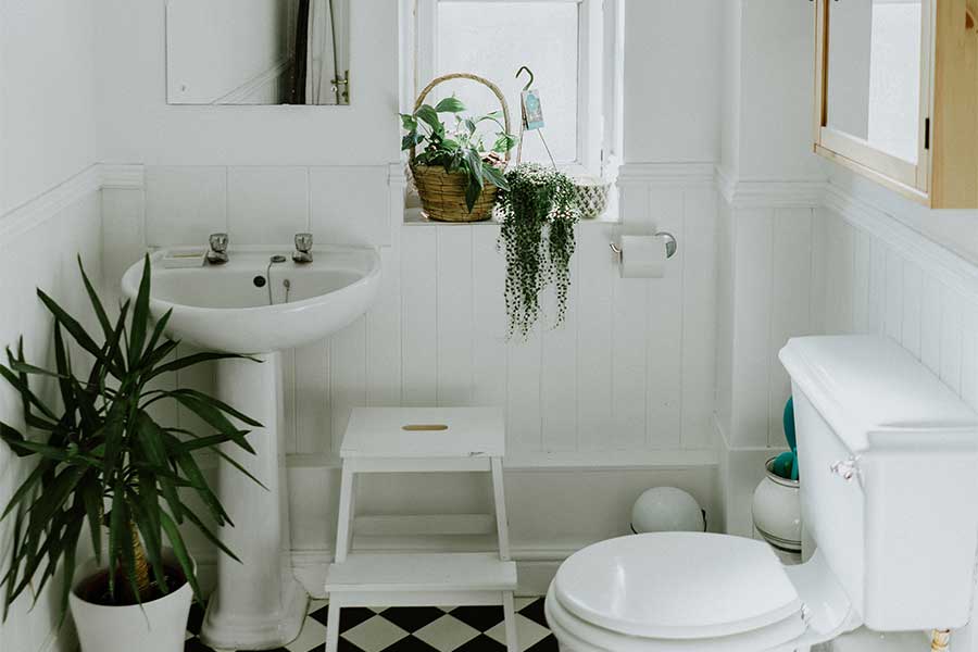 all-white-clean-bathroom-organized-plants
